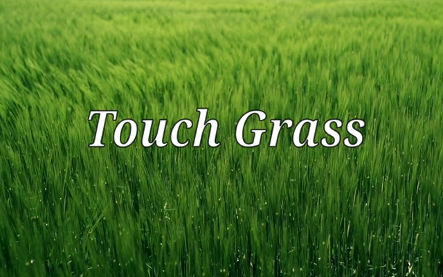 Touch Grass截图4