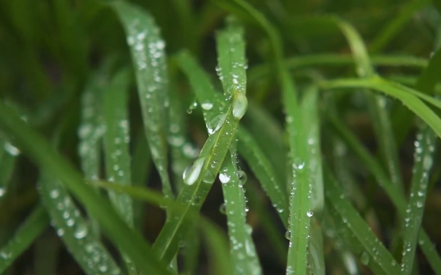 Touch Grass截图5