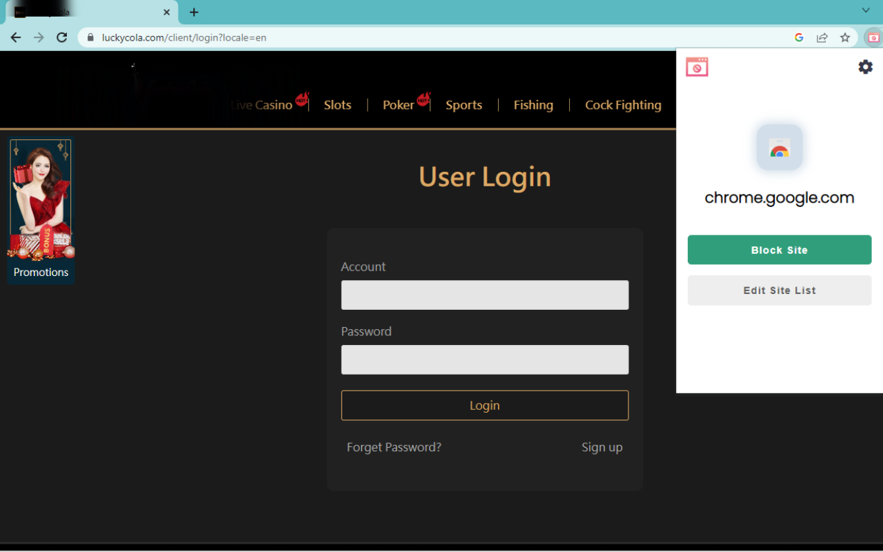 Block Sites 2.0截图2