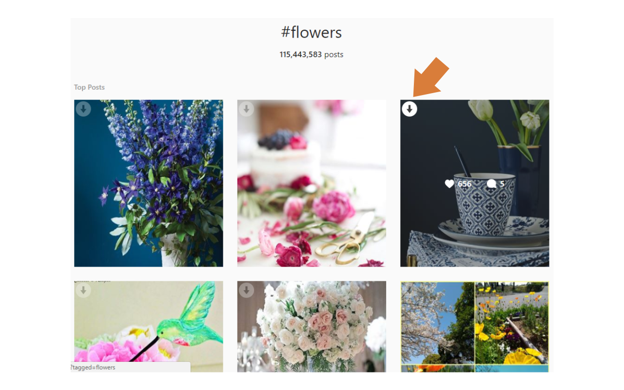 Image Downloader for IW截图1