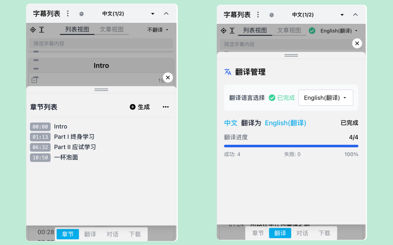 vCaptions - 给任意网站视频添加字幕列表截图4