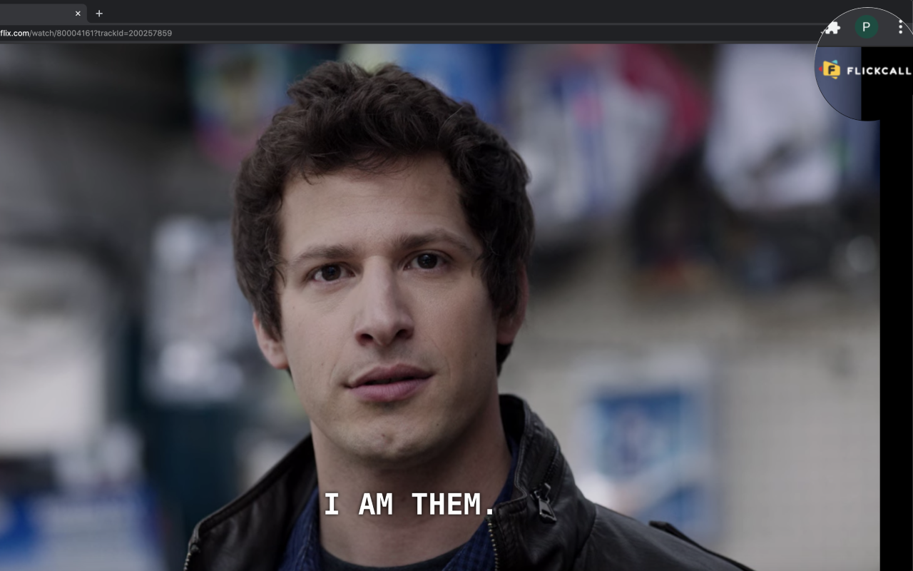 Flickcall: Netflix Party with Video Call截图5