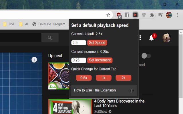 YouTube Default Playback Speed截图2