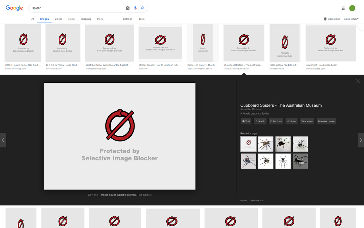 Selective Image Blocker截图1