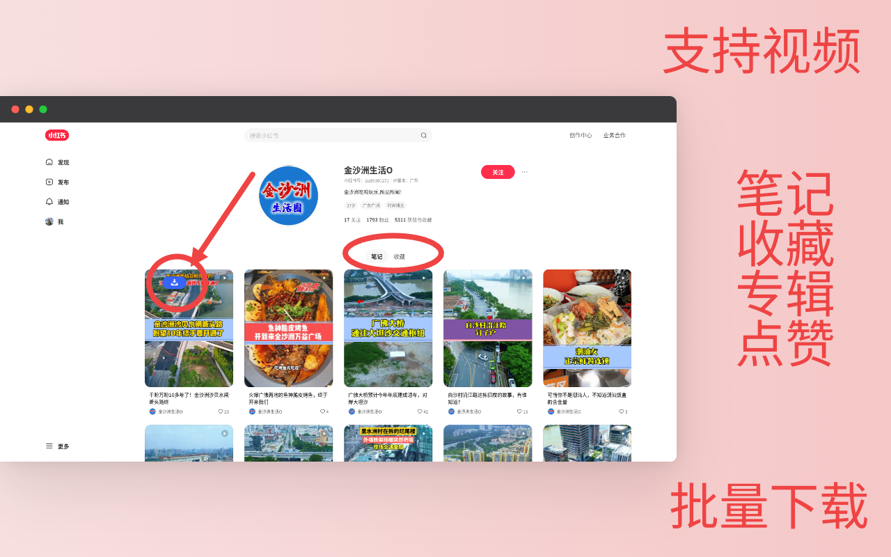 小草莓 - 支持小红书视频批量下载截图1