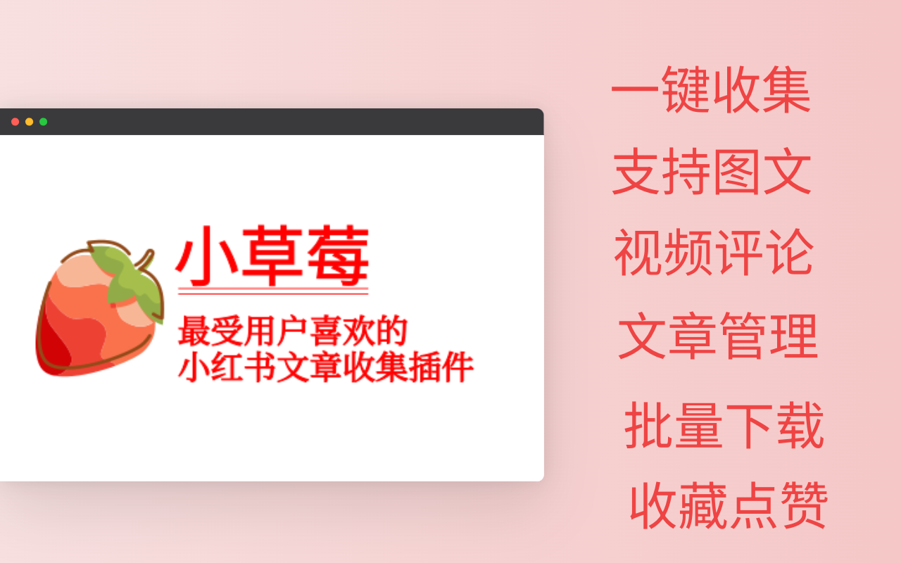 小草莓 - 支持小红书视频批量下载截图2