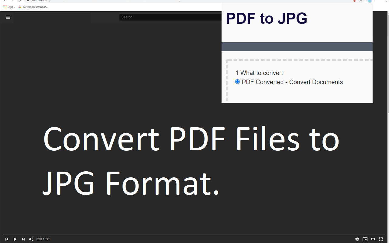 PDF转JPG截图1