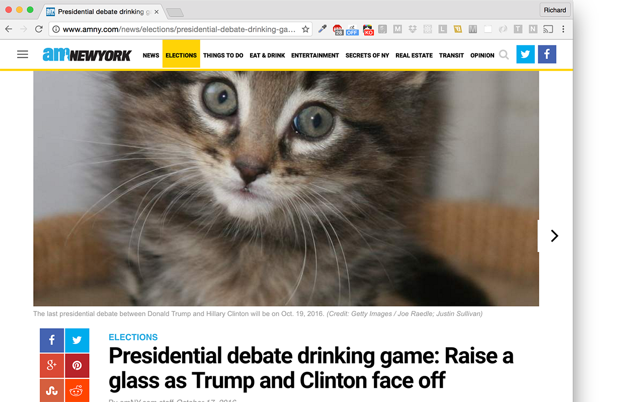 Trump to Kitten截图1