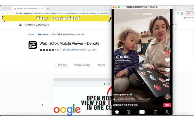 TikClient - Web Client for TikTok™截图3