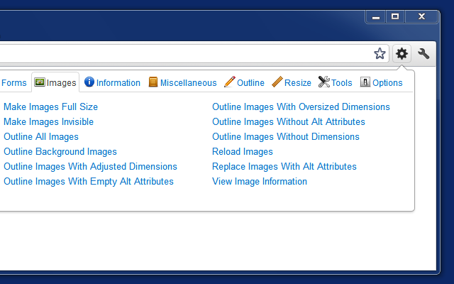 Web Developer截图2