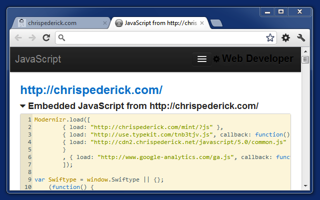 Web Developer截图3
