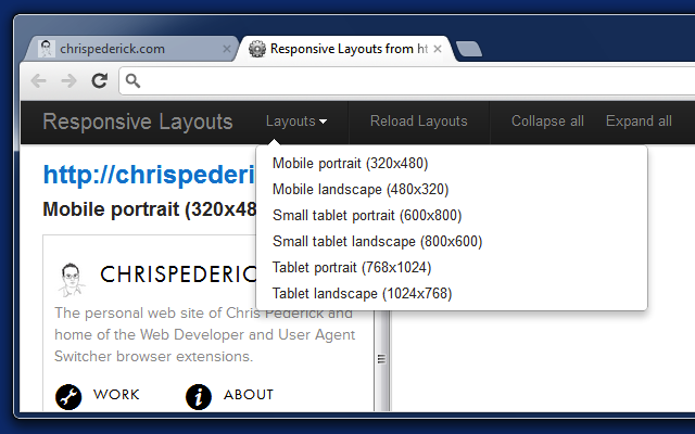 Web Developer截图4