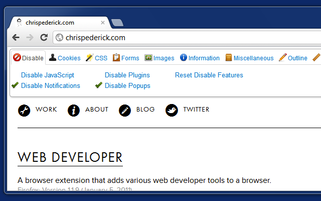 Web Developer截图5