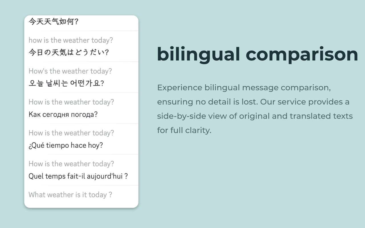 自动 Discord 翻译器截图2