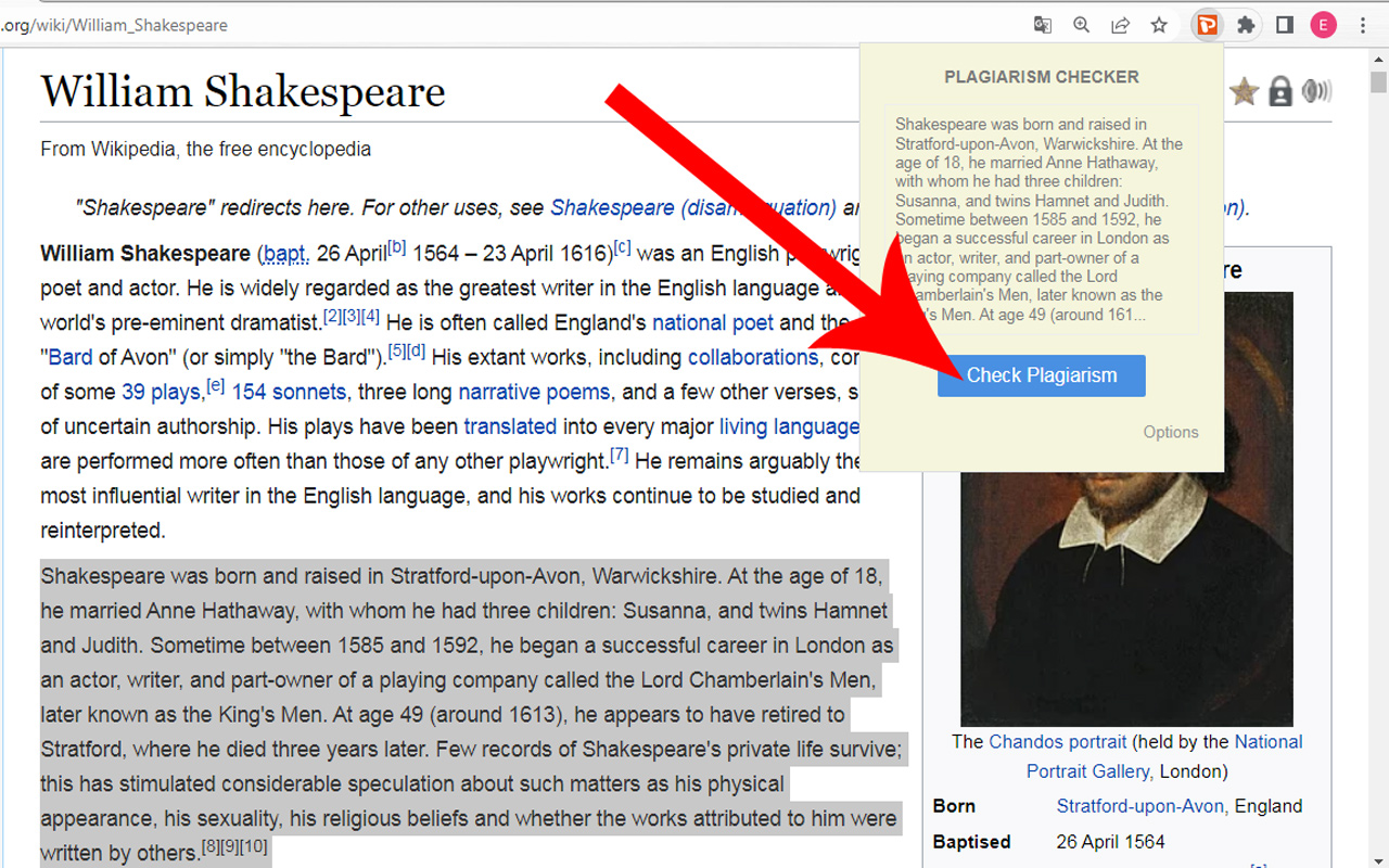 Plagiarism Checker截图1