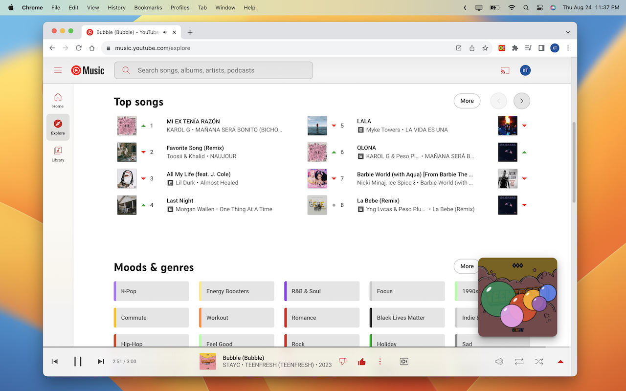 YouTube Music™ 主题音乐(增强器)截图4