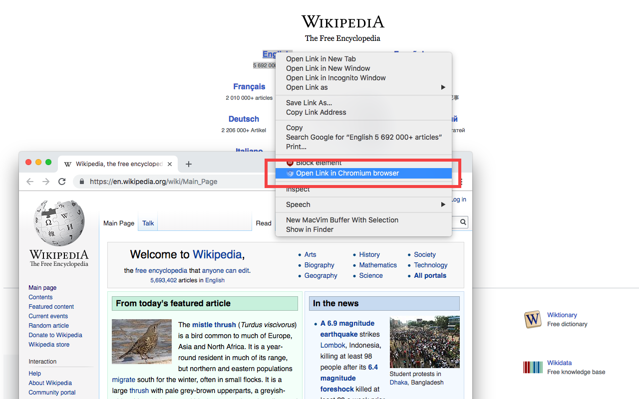 Open in Chromium Browser截图1