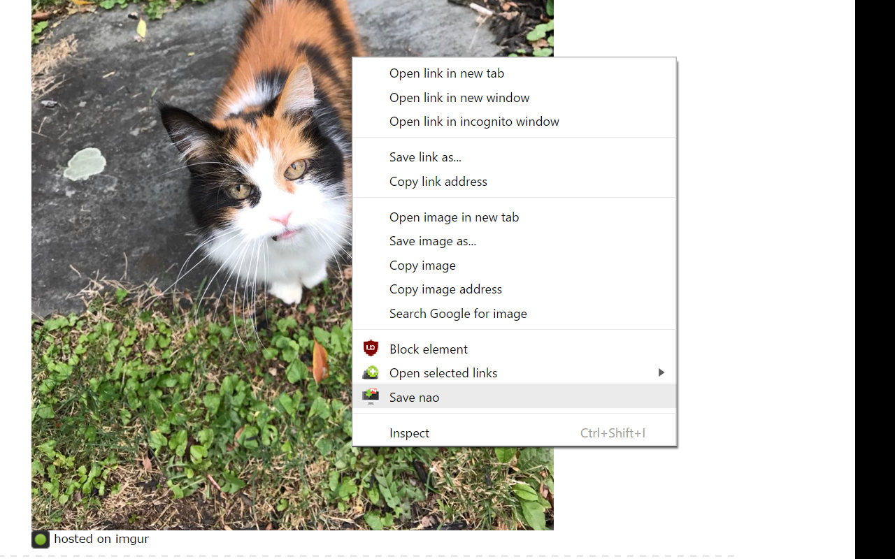 Save Image Nao截图1