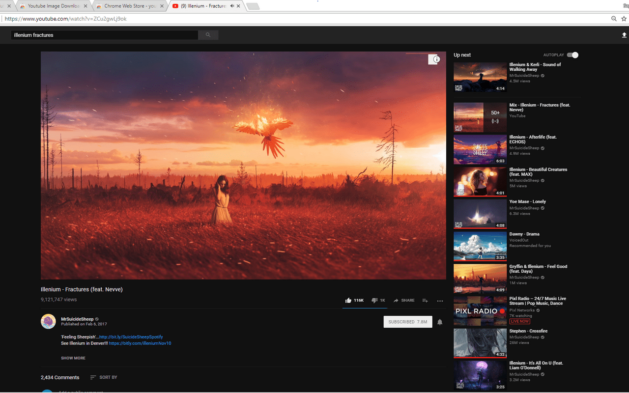 Youtube Image Downloader截图1