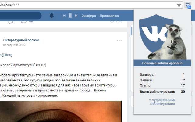 Убрать рекламу ВК截图2