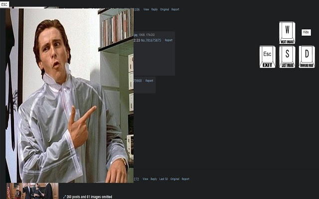 4chan Archive Image Viewer截图1