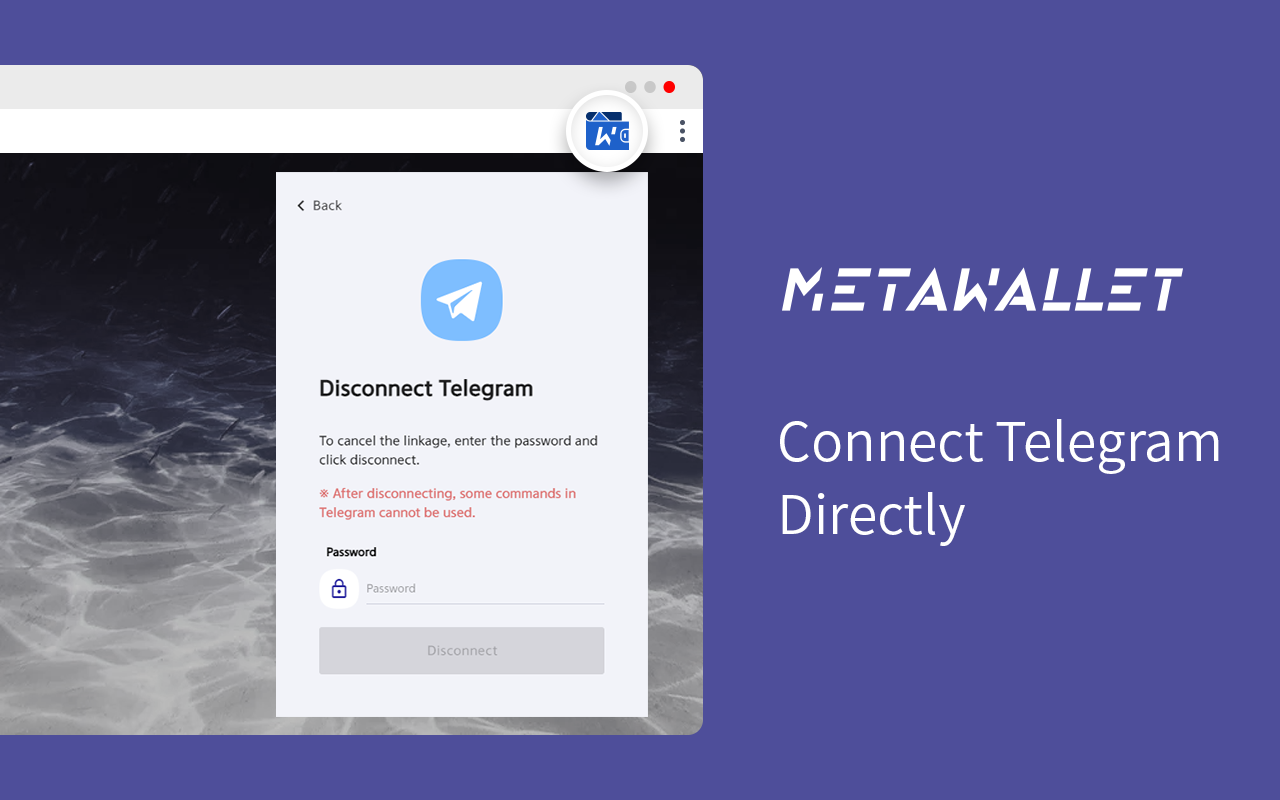 MetaWallet截图6