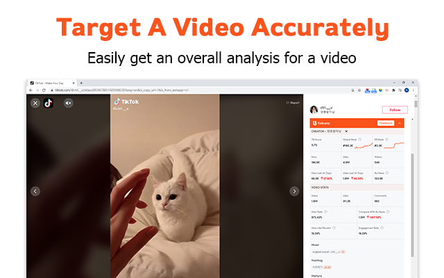 TikBuddy: TikTok Analytics Online Toolkit截图2