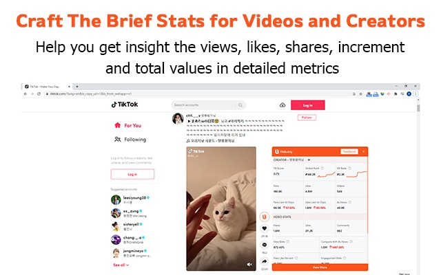 TikBuddy: TikTok Analytics Online Toolkit截图3