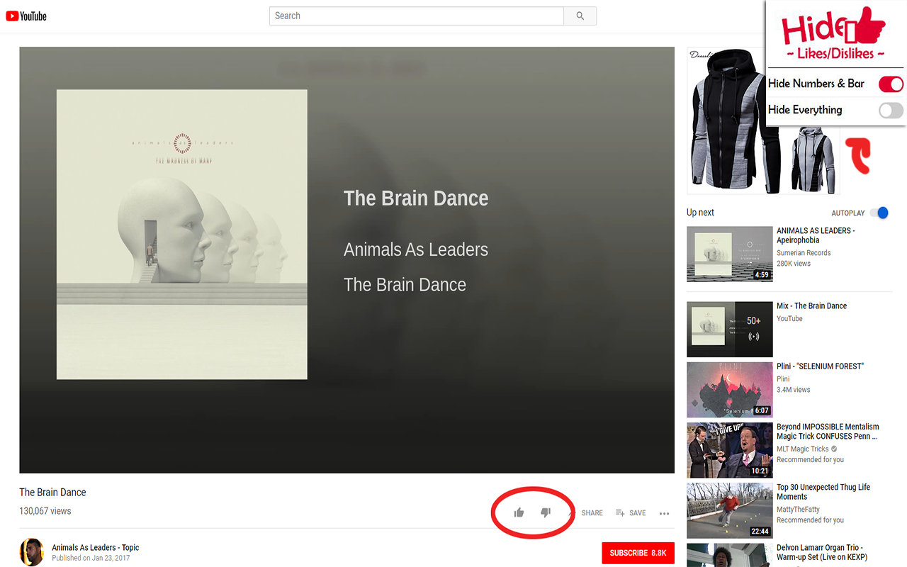 Hide Youtube Likes/Dislikes截图3