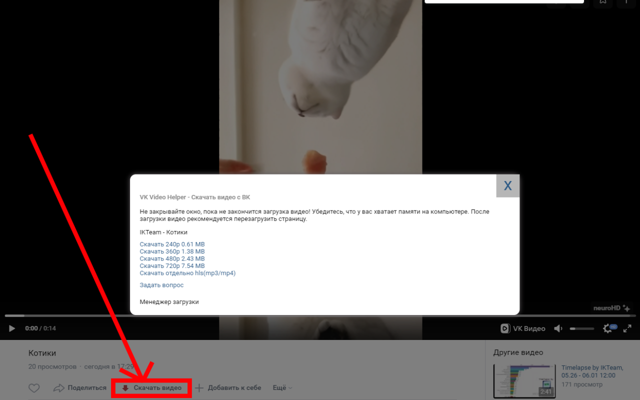 VK Video Helper截图1