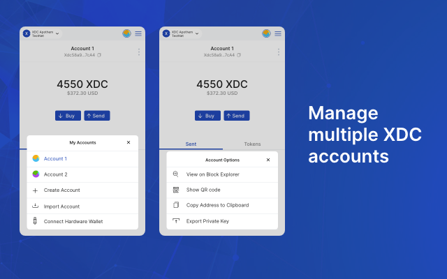 XDCPay截图1