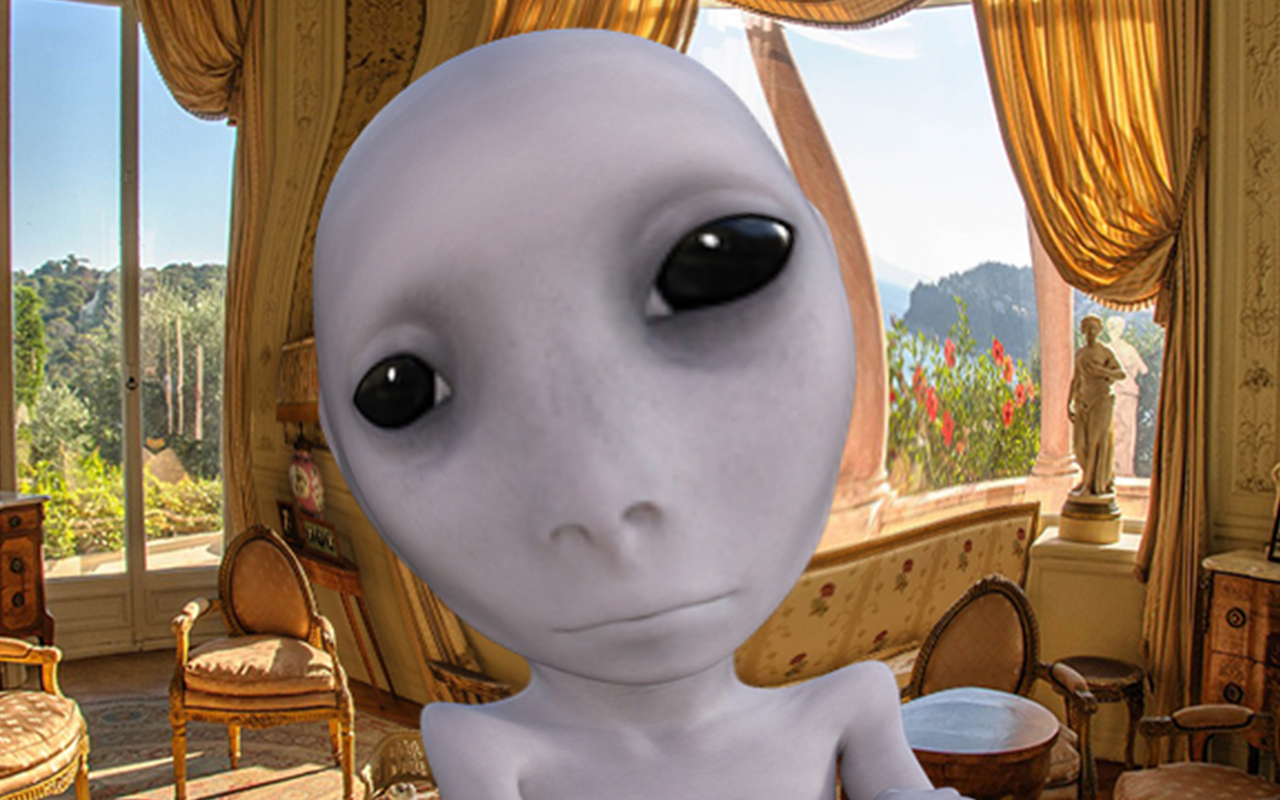 Photo Mirror - a Webcam Toy截图1