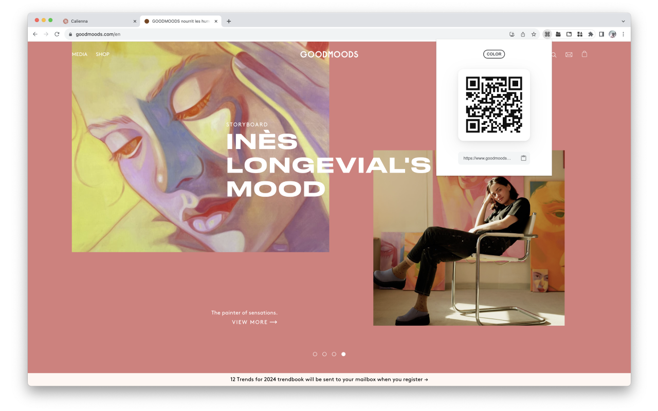 QRCodie - 二维码生成器截图1
