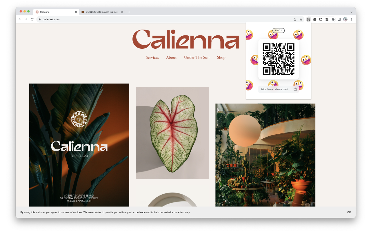 QRCodie - 二维码生成器截图2