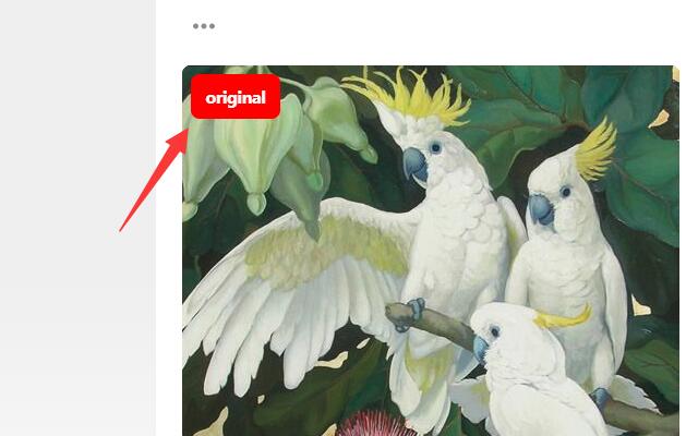 Pinterest Original Image截图1