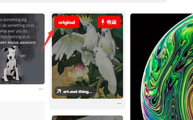 Pinterest Original Image截图2