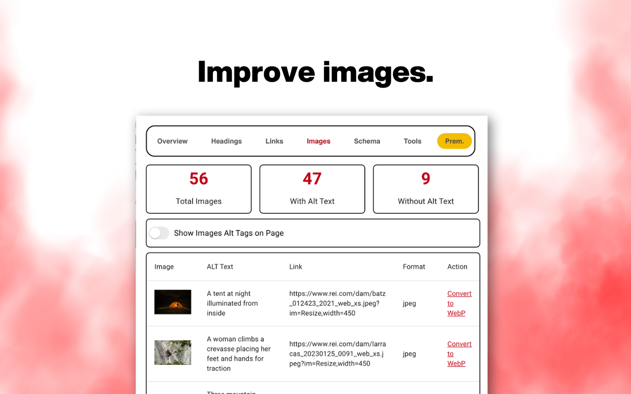 SEO ToolBox截图1