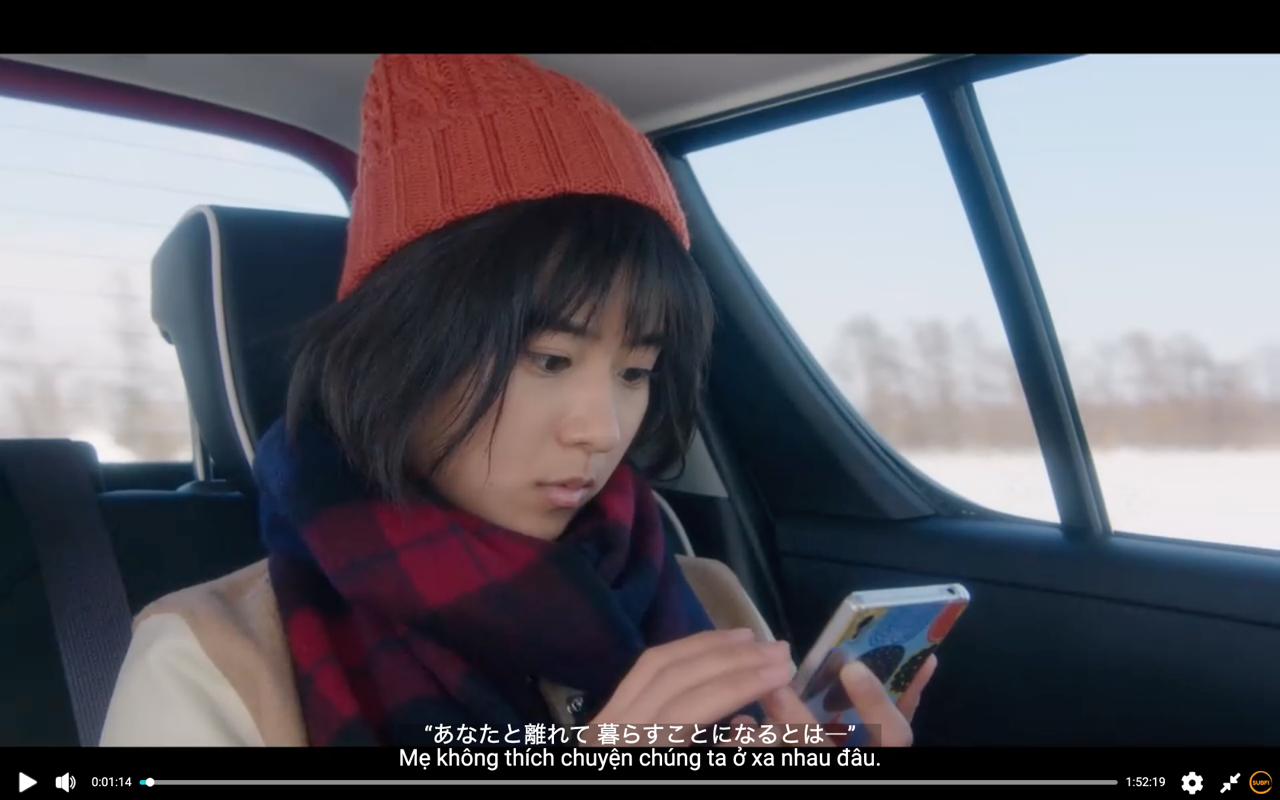 SubFi截图1