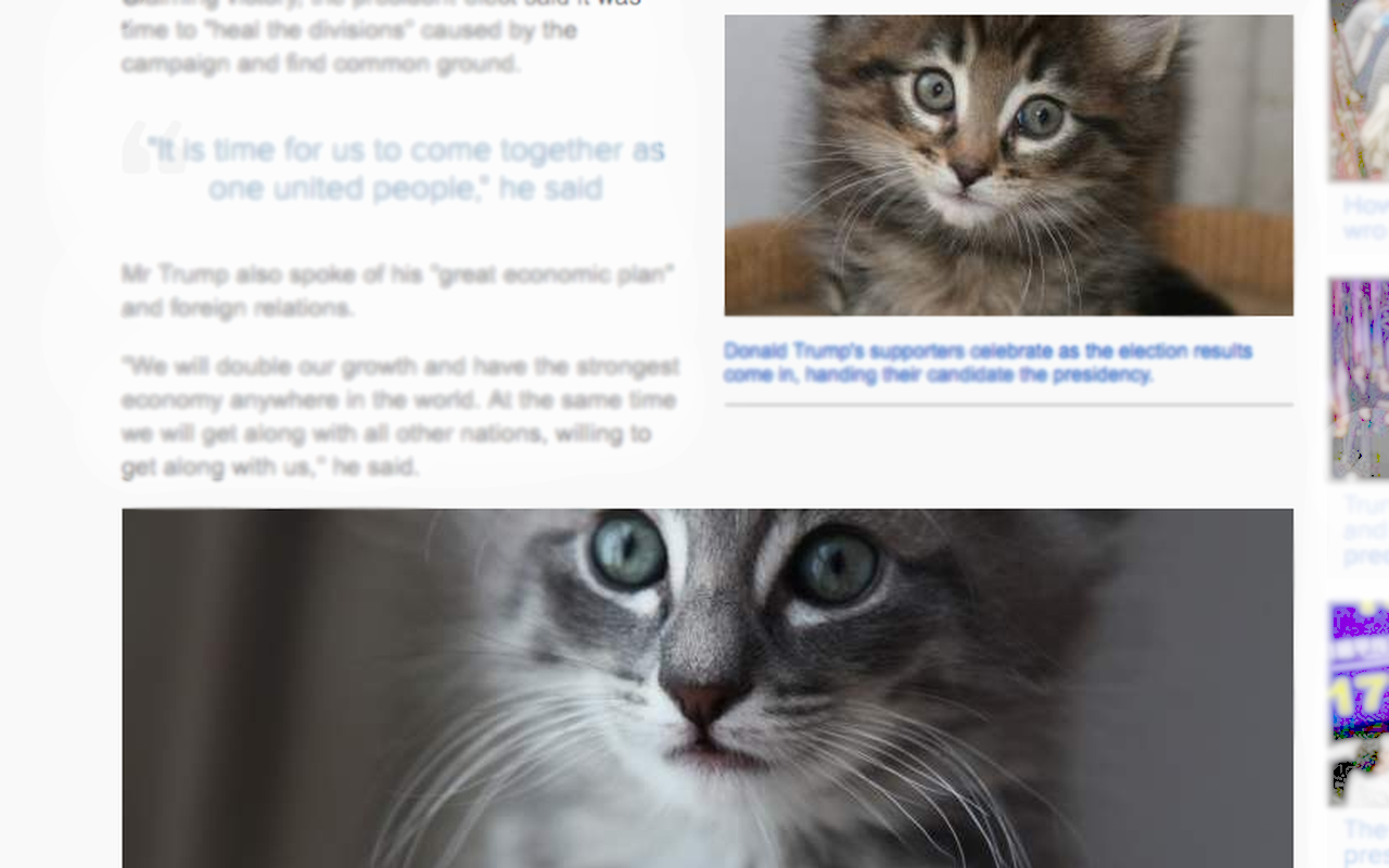 Trump Kittens截图1