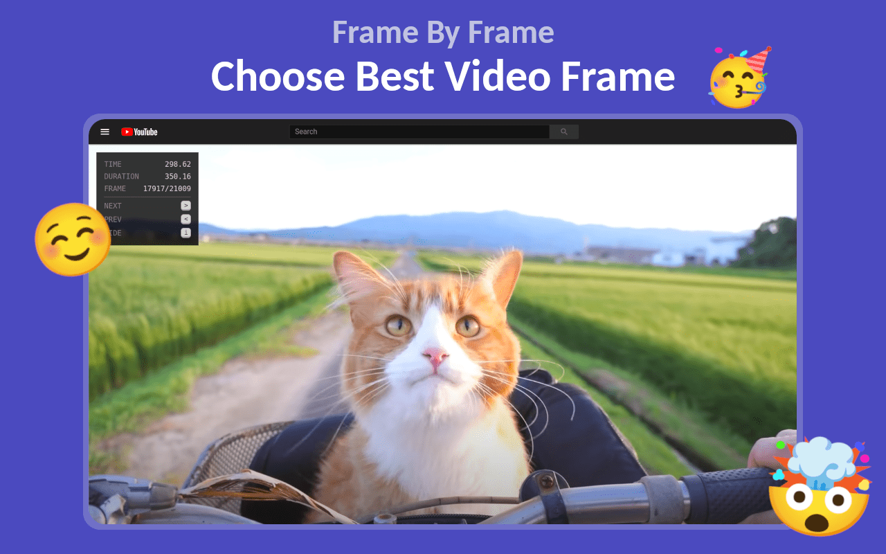 Frame By Frame截图1