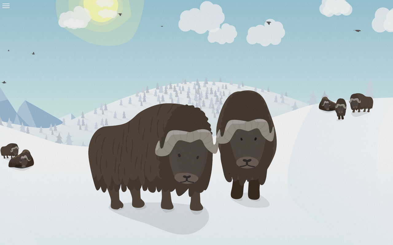 Polar Tab截图2