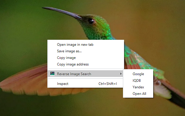 Reverse Image Search截图1