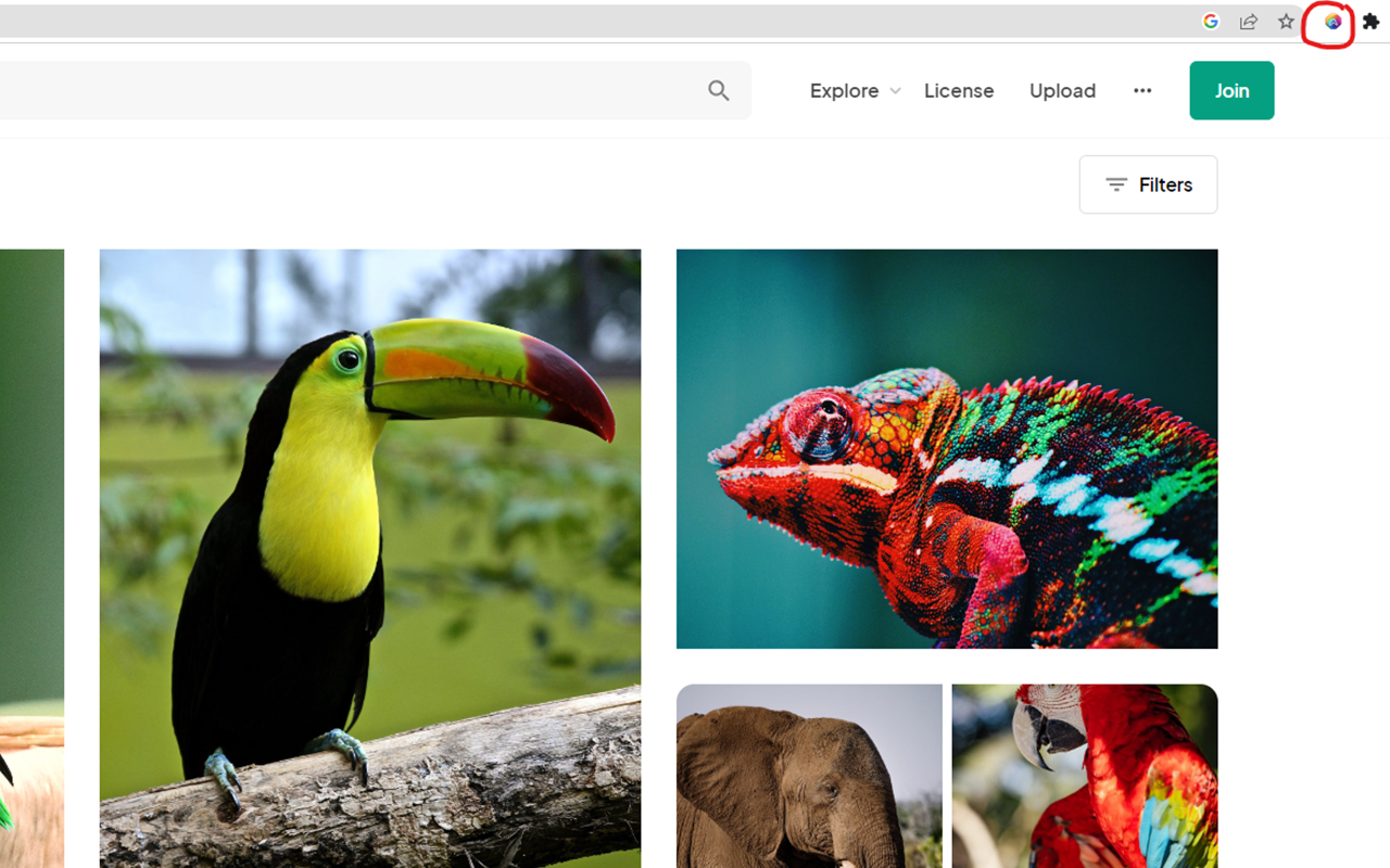 Get Page Images截图1