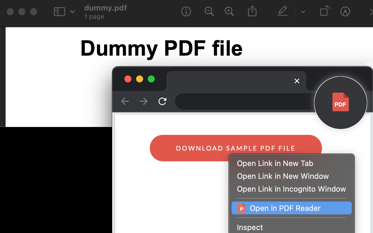 Open in PDF Reader截图1
