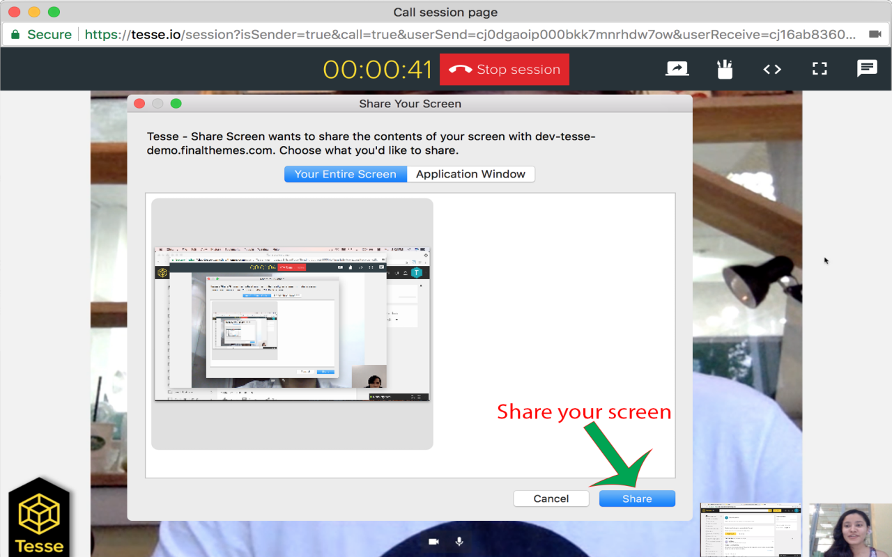 Tesse - Share Screen截图4