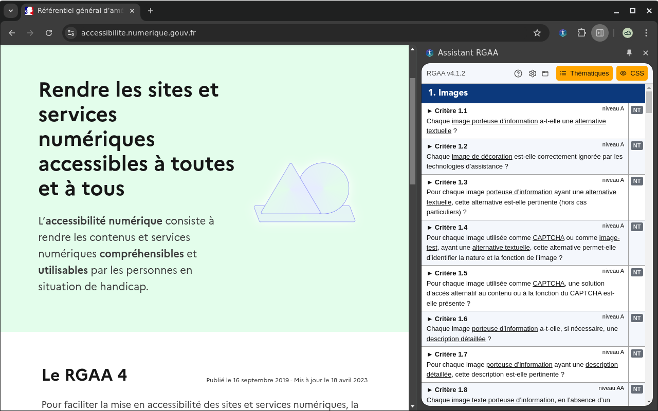 Assistant RGAA截图2