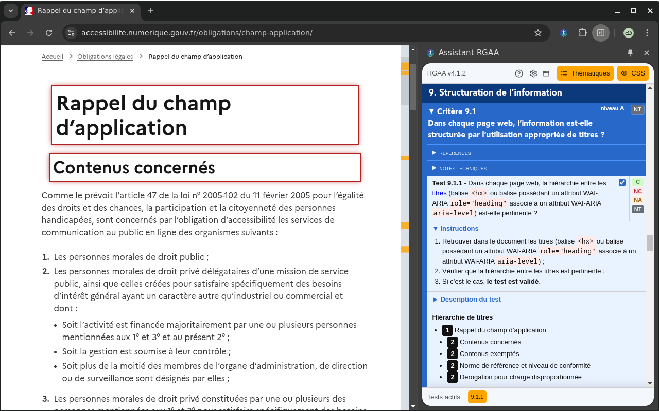 Assistant RGAA截图3