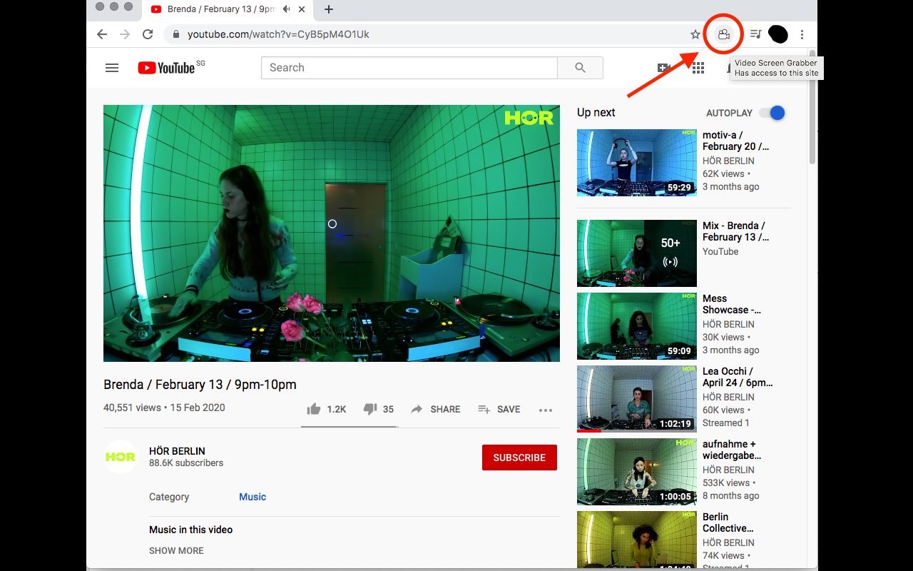 Video Screen Grabber截图1