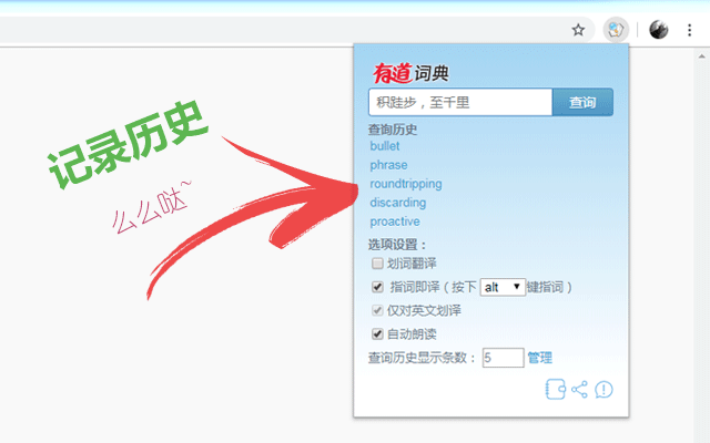 有道词典划词扩展2025截图3