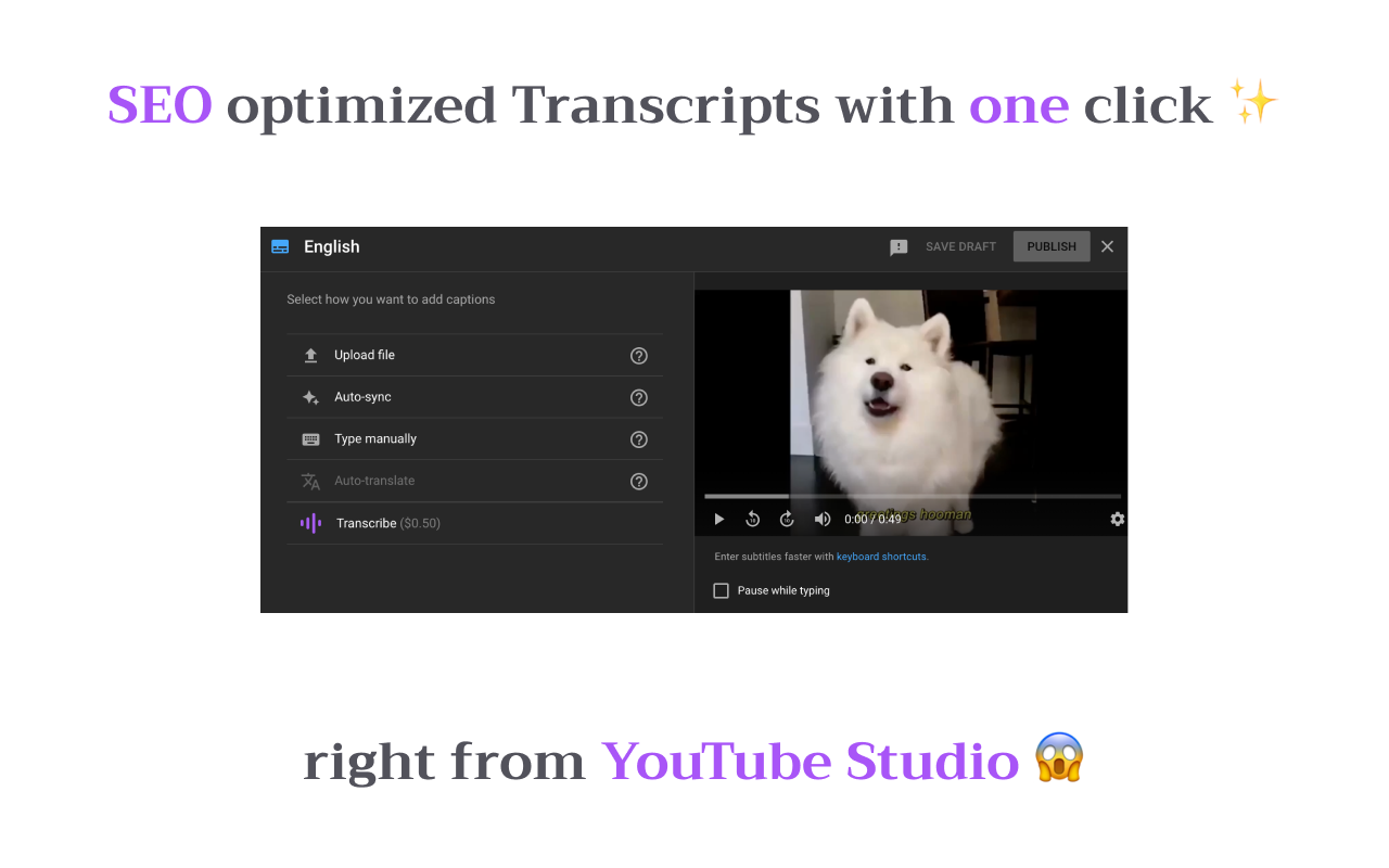 Grow your YouTube with SEO | Tube Transcripts截图1